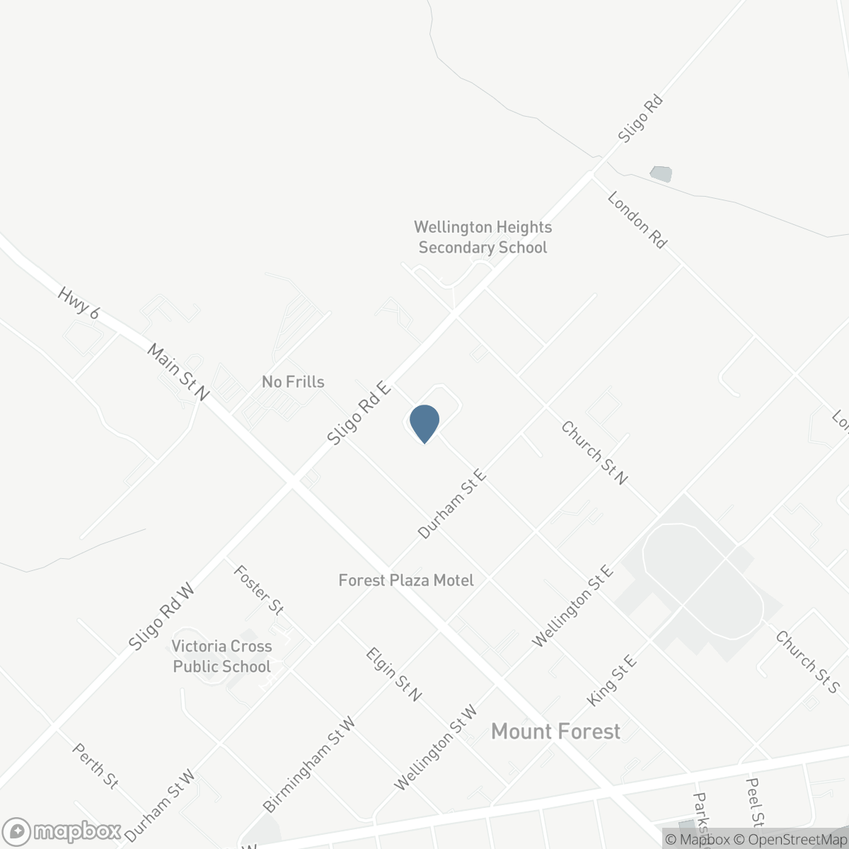 102 BYELAND Drive, Mount Forest, Ontario N0G 2L2